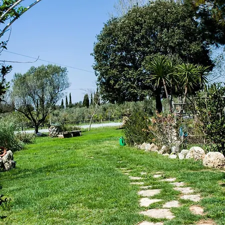 Enli * קפאלביו