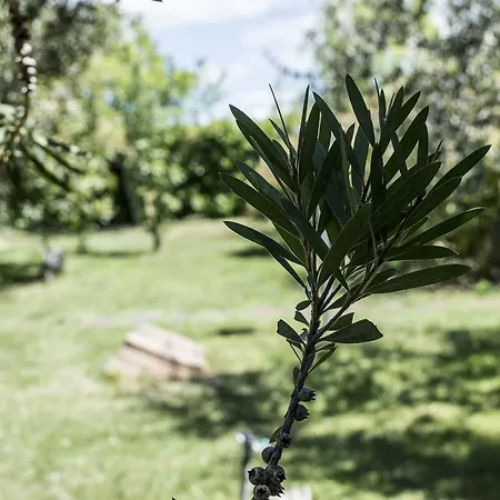 Enli Alloggio per agriturismo *