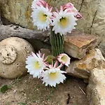Alloggio per agriturismo Enli