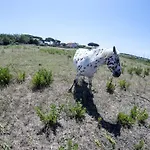 Alloggio per agriturismo Enli