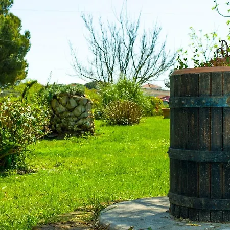 Enli Farm stay