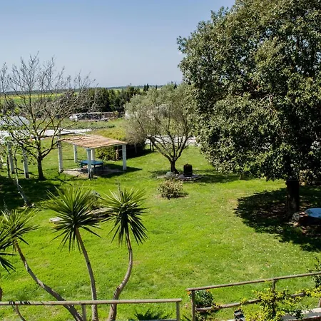 Enli Farm stay *