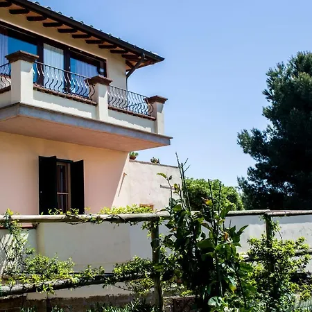 Farm stay Enli