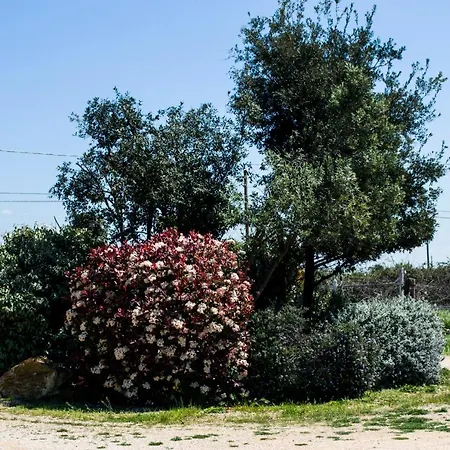 Enli Farm stay