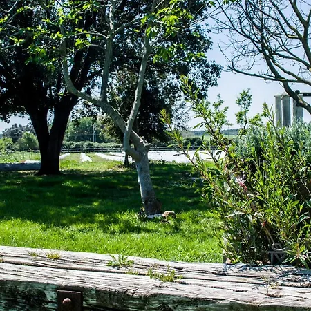 Farm stay Enli Capalbio