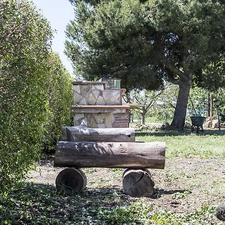 Farm stay Enli